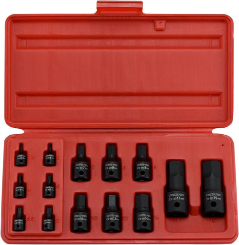 NEIKO 01141B Allen-Bit Socket Set, Metric Socket Set, 2.5 mm to 19