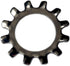 Marine Bolt Supply #10 Stainless Steel External Tooth Star Lock Washers, Pack of 100pcs