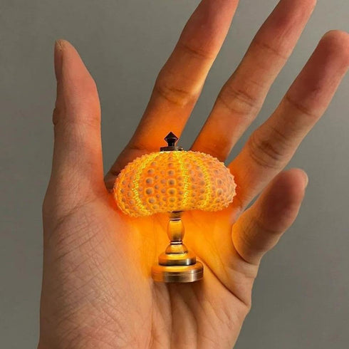 HFLWYWD DIY Sea Urchin Night Light,Portable Sea Urchin Beach Themed Night Light,Sea Urchin Shell Night Lamp, Funny