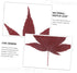 Natural Maple Leaf Sushi Decorations - Elegant Food Presentation