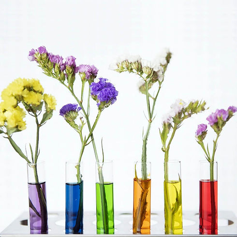 10pcs 60ml Glass Test Tubes, 25x150mm Borosilicate Glass for Scientific Experiments and Decorations