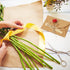 Flower Card Envelopes, Cute Mini Seed Holders with Heart Shaped Clasp, 10PCS 4 x 2.75 inch