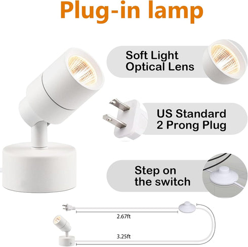 3W Dimmable 3CCT, 5.9FT LED Spotlights Indoor Uplighting with Timer, Up Plant Spotlight, Uplights Accent Lighting