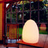 8-Inch Dimmable 16 8 Mr.Go Rechargeable LED Egg Light - Baby Night Light with Remote, Colors & Brightness, Waterproof