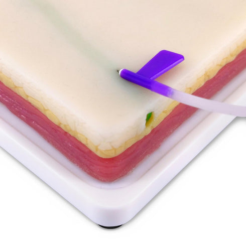 4 3 Medarchitect Venipuncture IV Injection Training Pad Model with Veins Imbedded and Skin Layers for Medical Students