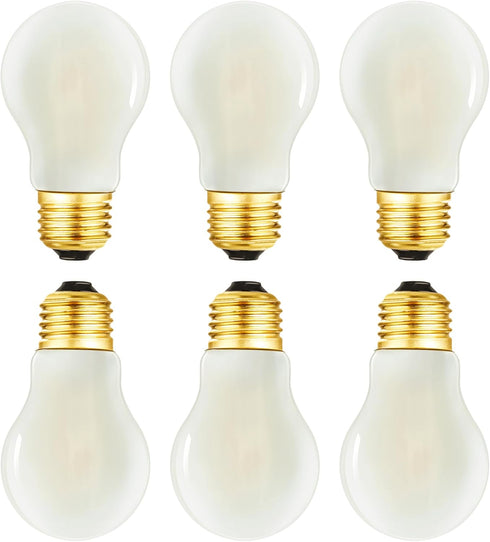 DONDDA Frosted E26 Edison Bulb A15 Light Bulb 4W Equal 40 watt Light