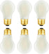 DONDDA Frosted E26 Edison Bulb A15 Light Bulb 4W Equal 40 watt Light