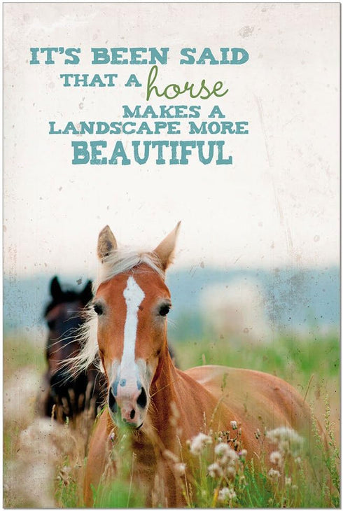 Tree-Free Greetings All Occasion Cards - 12 Greeting Cards + White Envelopes, Made in USA