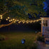 Solar String Lights Outdoor, 30ft 50LED Waterproof Christmas Lights with 8 Modes for Gardens and Patio Decor