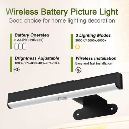Faeohsy 2PACK 3 Timer&Dimmable Wireless Picture Light for Wall LED Battery Operated Wall Light with Remote Art Display
