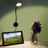 Onerbuy 5W Youngine Plug Wired Flexible Gooseneck Wall Sconce Reading Lamp Art Works Show Accent Light Wall Mount Spot