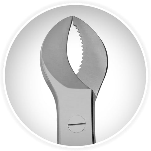 8" Stainless Steel Dental Pliers Plaster Nippers Cutter Dentist Lab Equipment, Cow Horn Jaws, Serrated Blade, Spring