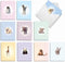 The Best Card Company 20 Assorted Baby Notecards Box Set, 4 x 5.12 Inch with Envelopes, Zoo Babies AM6726BBG-B2x10