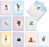 The Best Card Company 20 Assorted Baby Notecards Box Set, 4 x 5.12 Inch with Envelopes, Zoo Babies AM6726BBG-B2x10