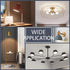 A19 LED Light Bulbs, 60 Watt Equivalent, E26 Base, 6500K Daylight White, 10W, 1000 Lumen, Non-Dimmable, Pack of 6