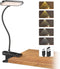 CUHIOY Desk Lamp, USB-C Battery-Operated Clip on Reading Light, 38 LEDs with 5 Colors and 5 Brightness Levels, Flexible