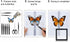 Dddzerong (5in Butterfly Specimen Kit Includes pins, mounting Board, Spreading Tools, Display case, Labels, Forceps