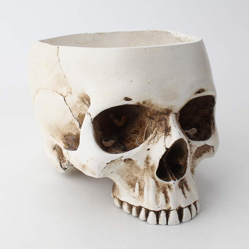 Mikayoo Skull Pen Holder - Skull Makeup Brush Holder and Storage Box for Office Desk, Green Plant Flower Pot
