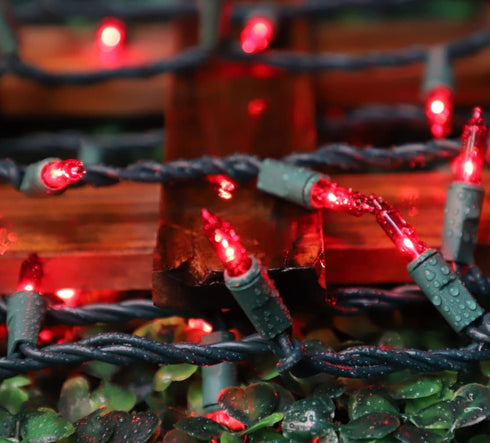 Lights,100 Count 19.6FT LAMPHOME Red Valentines Day Decor Mini Valentine's Lights,Red Christmas String Fairy Lights