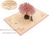 PENTA ANGEL Handmade Cherry Blossom 3D Pop Up Card for Romantic Love Letter, Wedding, Birthday Gift