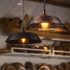 Leools E26 Vintage Edison Bulbs 8W Dimmable LED, Soft White 3000K, 800lm, 6 Pack