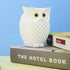 Owl Resin Pen Holder and Makeup Brush Holder, Desk Organizer for Office, School, and Home, White