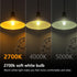 Achbeah Non-Dimmable 60W g16.5 Bulb E26 2700K 6W 60 Bulb G50 Bulb Edison - Equal Watt Warm White Light Globe for Front