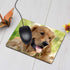 Dog Gaming Mousepad, Golden Retriever Theme Mouse Pad for Computer Desk Laptop Office 9.5 X 7.9 Inch Non-Slip Rubber