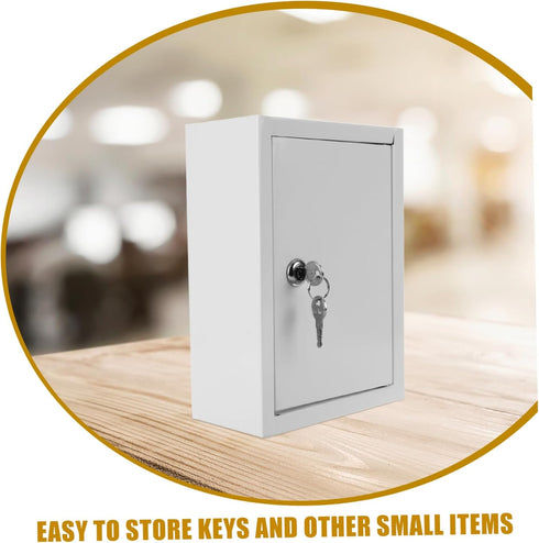 Vaguelly Wall Mounted Milk Box with Lock Home Milk Container for Secure Storage Versatile Use as Letter Box Easy