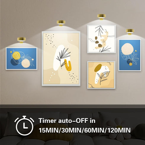 Arixinks 6pcs 3 Dimmable Wall Picture Light Battery Operated, Painting Light with Remote, Wall Picture Lighting