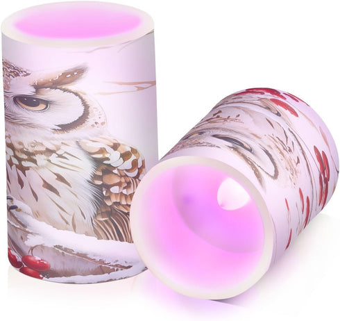 LFICRTAN 2 Pack Owl Sitting Snow Covered Branch Flameless Candles Battery Operated Color Changing LED Candles