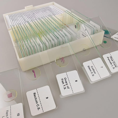 GEEFUNTECH 30 Pcs Microscope Slides Prepared Biology Specimen Lab Sample with Insects Plants Science Learning Home