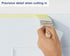 Zibra Precision Detail Paint Brush, Pro Grade, 2-inch Angled for Cutting in & Trim
