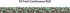 Teacher Created Resources Eucalyptus Straight Rolled Border Trim - 50ft for Bulletin Boards and Decor