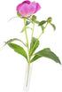 1set Sosoport Flower Water Tubes for Fresh Flowers for Roses Carnations and Sunflowers Tubes for Floral Arrangements