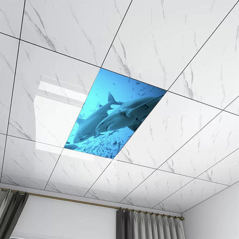WYNIM 2 Pack School,4 2 Marine Animal Fluorescent Light Cover for Ceiling Light - Magnetic Light Covers Classroom