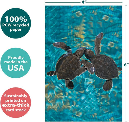 Tree-Free Greetings EcoNotes 12 Count Baby Sea Turtles Notecard Set with Envelopes, 4 x 6 Inches