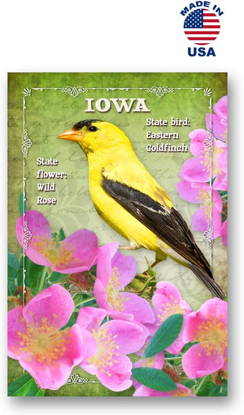 US STATE BIRDS AND FLOWERS Set of 50 Postcards | United States Bird and Flower Symbols Variety Pack | Made in USA