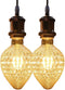 VicFlora Vintage Edison LED Bulbs, Strawberry Shaped Light Bulbs 4W G30 E26 Base