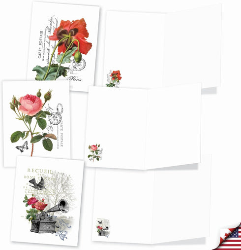 The Best Card Company - 20 Blank Notes with Envelopes, All Occasion Animal Assortment (10 Designs, 2 Each)