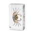 Aolowewin (2.9x1.6x0.9-inch) Taxidermy Crabs Conch, Oceans Animals - Sea Creatures Specimen in Resin for Closer-Look