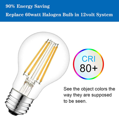 2 Pack 12 Volt Edison Bulb E26, 12V LED Warm White 2700K 60W Equivalent, Low Voltage Vintage A19 Bulbs