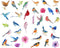 Seasonstorm Watercolor Birds Sparrow Precut Stickers - Cute Aesthetic Diary Travel Paper for Scrapbooking Stationery