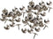 Tupalizy 100PCS Small Metal Thumb Tacks, Nickel Plated Round Head Push Pins for Cork Bulletin Board, Crafts, 0.4inch