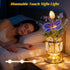 BVI BOOMERVIVI 3-Color Dimmable Flower Crystal Table Lamp, Small Night Light, Rechargeable Cordless Touch Lamp