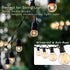 20 PCS Q-Hanger Hooks for String Lights, Ceiling Hooks for Hanging Plants, Wind Chimes, Bird Feeders, Lanterns