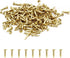 200 Pcs Tiny Brad Nails, Brass String Art Nails, 1.2x6mm Wood Finish Nails for DIY Pictures Boxes Decorative Household