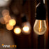 S14 Outdoor String Light Bulbs, Shatterproof Waterproof, 1W Equivalent to 10W, 2200K Warm White, E26 Base, 15 Pack