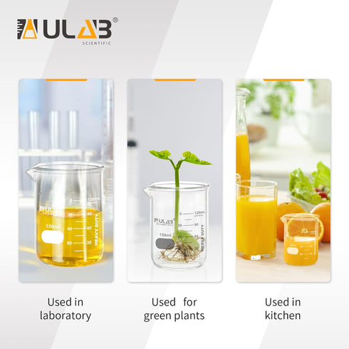 ULAB Heavy Duty Glass Beakers, 12pcs, 150ml (5.07oz), Borosilicate 3.3 Glass, Thick Wall, Double Scale, UBG1054
