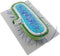 SUPVOX Realistic Cell Model Biology Teaching Aid Anatomical Details for Boys and